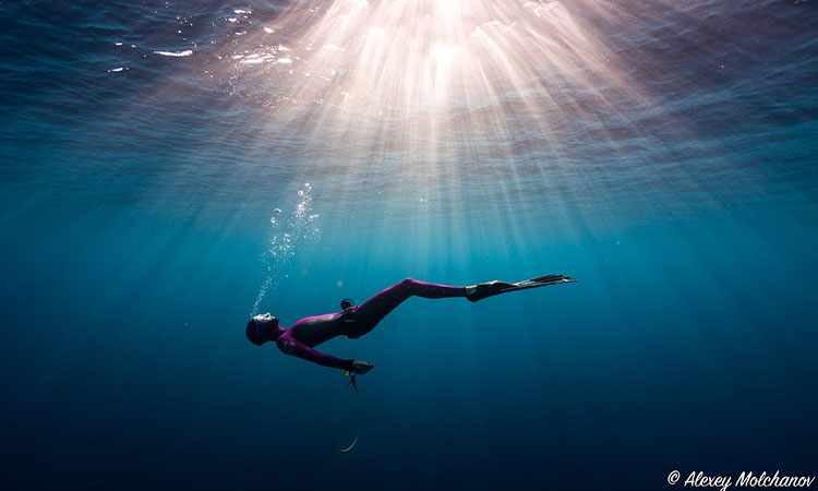 What is Freediving